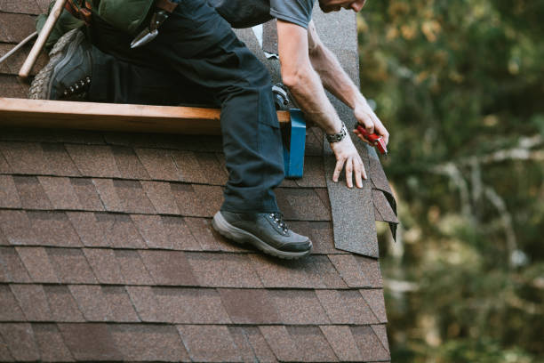 Best Roof Gutter Cleaning  in Sullivans Island, SC